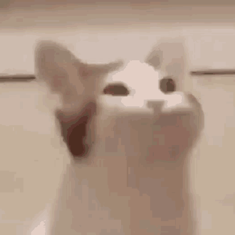 dynmie